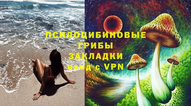 Галлюциногенные грибы Magic Shrooms  Демидов 